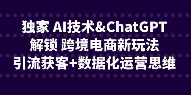 独家 AI技术ChatGPT解锁 跨境电商新玩法，引流获客 数据化运营思维-启创网