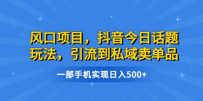 风口项目，抖音今日话题玩法，引流到私域卖单品，一部手机实现日入500-启创网