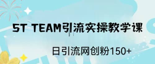 ST TEAM引流实操课，日引流网创粉100-启创网