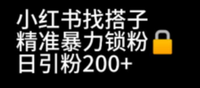 小红书找搭子暴力精准锁粉 引流日引200 精准粉-启创网