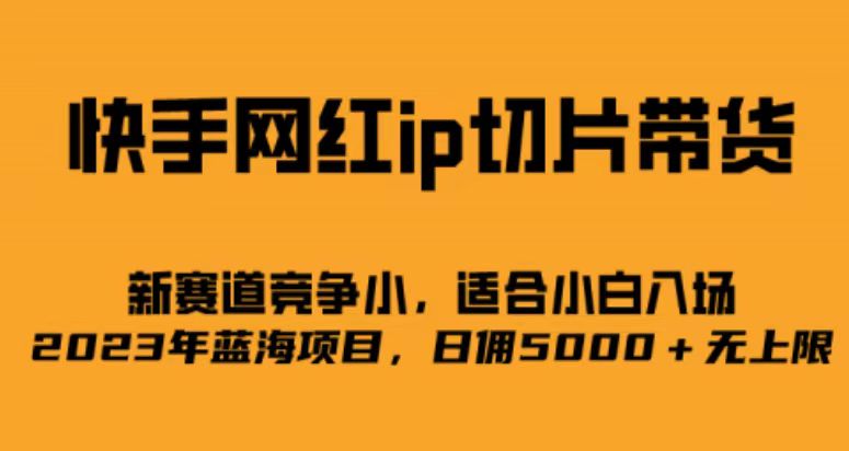 快手网红ip切片新赛道，竞争小事，适合小白 2023蓝海项目-启创网