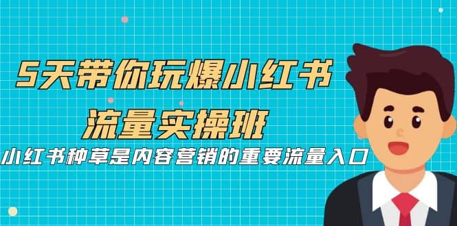 5天带你玩爆小红书流量实操班，小红书种草是内容营销的重要流量入口-启创网