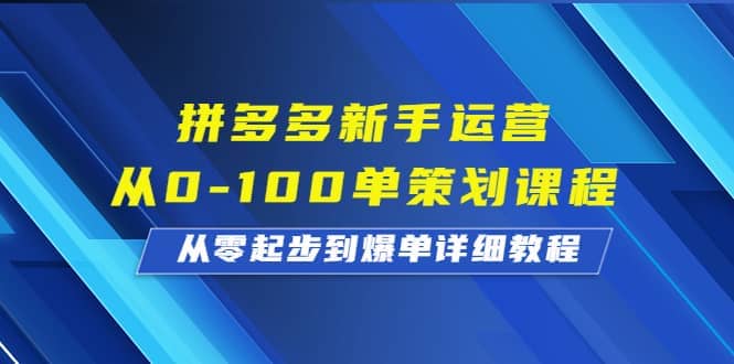 拼多多新手运营从0-100单策划课程，从零起步到爆单详细教程-启创网