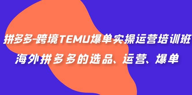 拼多多-跨境TEMU爆单实操运营培训班，海外拼多多的选品、运营、爆单-启创网