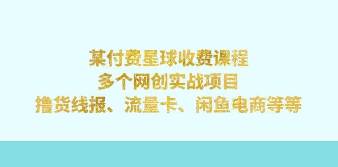 某付费星球课程：多个网创实战项目，撸货线报、流量卡、闲鱼电商等等-启创网