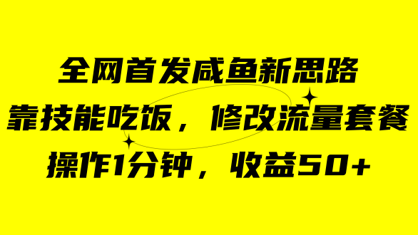 咸鱼冷门新玩法，靠“技能吃饭”，修改流量套餐，操作1分钟，收益50-启创网