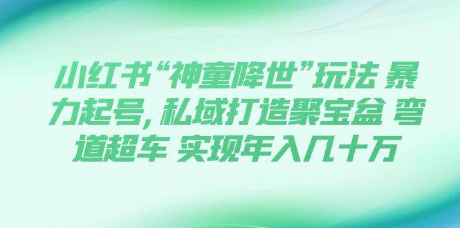 小红书“神童降世”玩法 暴力起号,私域打造聚宝盆 弯道超车 实现年入几十万-启创网