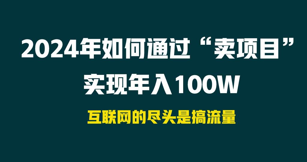 2024年如何通过“卖项目”实现年入100W-启创网