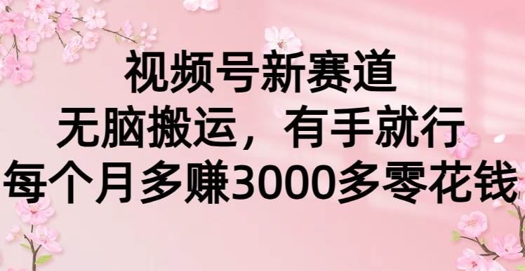 视频号新赛道，无脑搬运，有手就行，每个月多赚3000多零花钱-启创网